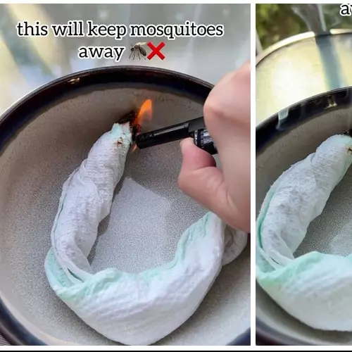 Cara ampuh bikin obat nyamuk alami bermodal 2 bahan dapur, bikin rumah makin wangi