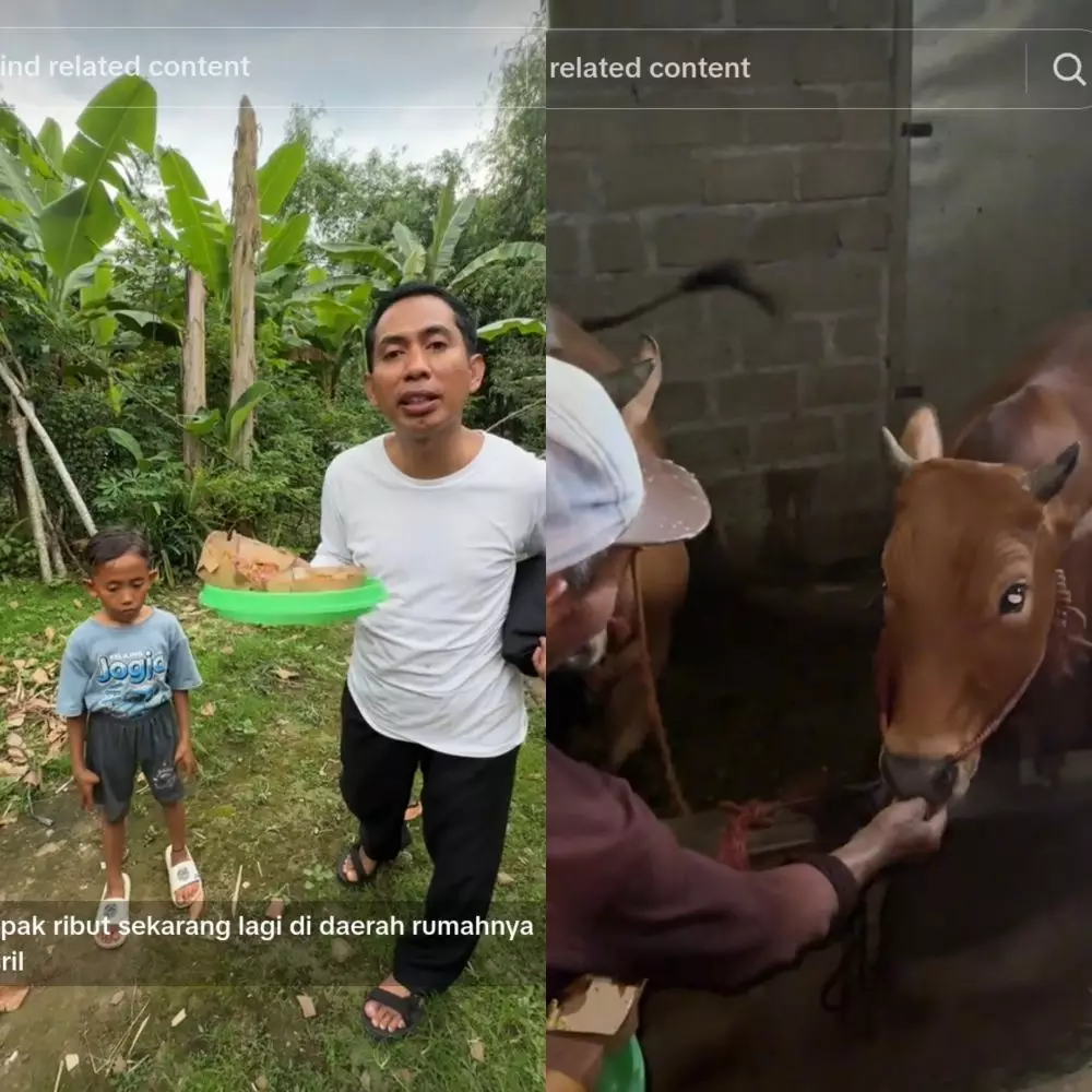 Murid SD sebut sapi makan martabak © TikTok