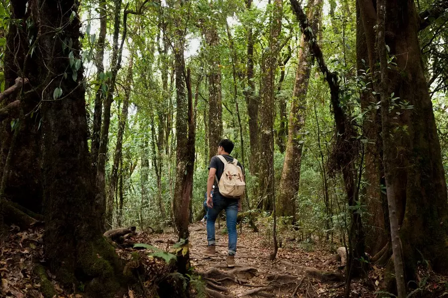 Apa itu silent walking dan manfaatnya © 2024 freepik.com Apa itu silent walking dan manfaatnya © 2024 freepik.com