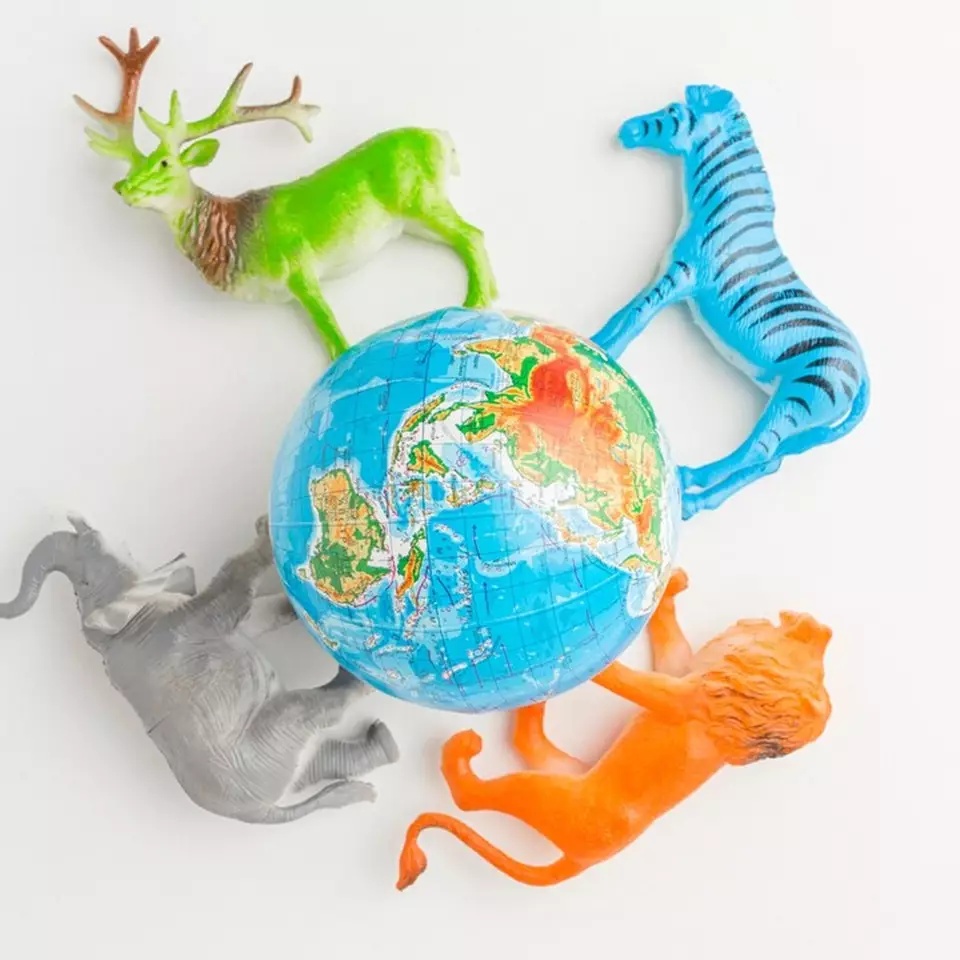 Jelaskan macam rantai makanan dilengkapi pengertian dan contohnya