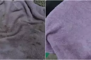 Andalkan 2 bahan dapur, ini trik hilangkan noda hitam dan jamur di handuk dekil auto bersih maksimal