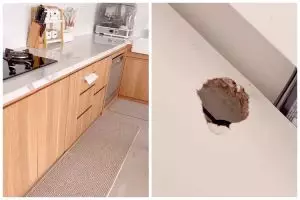 Trik merawat kitchen set supaya tidak mudah lembap dan berjamur, bikin perabot awet tanpa rayap