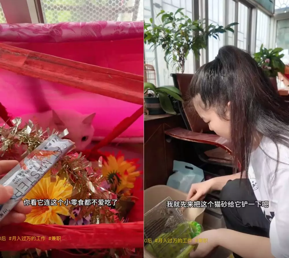 Gen Z china kerja empat tempat berbagai sumber Gen Z china kerja empat tempat berbagai sumber