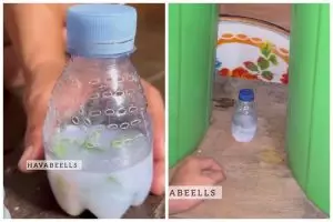 Trik bikin pengharum ruangan, ampuh usir serangga dan awet berminggu-minggu cuma pakai 3 bahan dapur