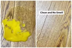 Bukan dilap kain, ini cara bersihkan pecahan telur di lantai agar antiamis dan langsung kering