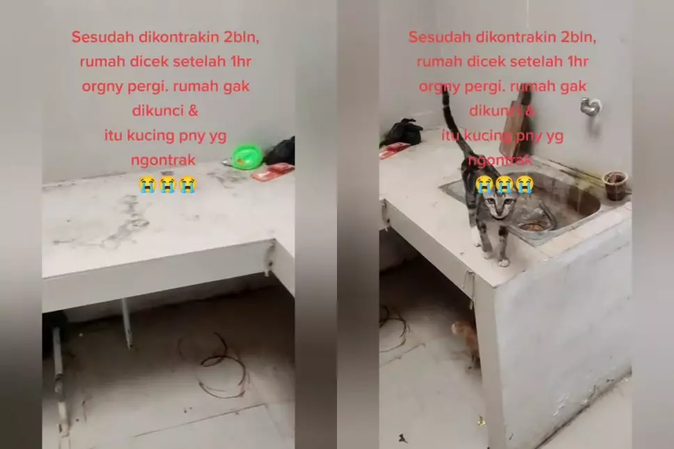 cerita rumah kontrak © TikTok