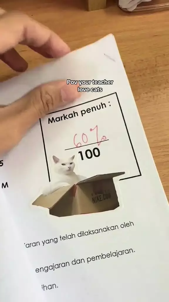 guru kasih penilaian ujian ke siswa pakai ekspresi kucing © 2024 TikTok