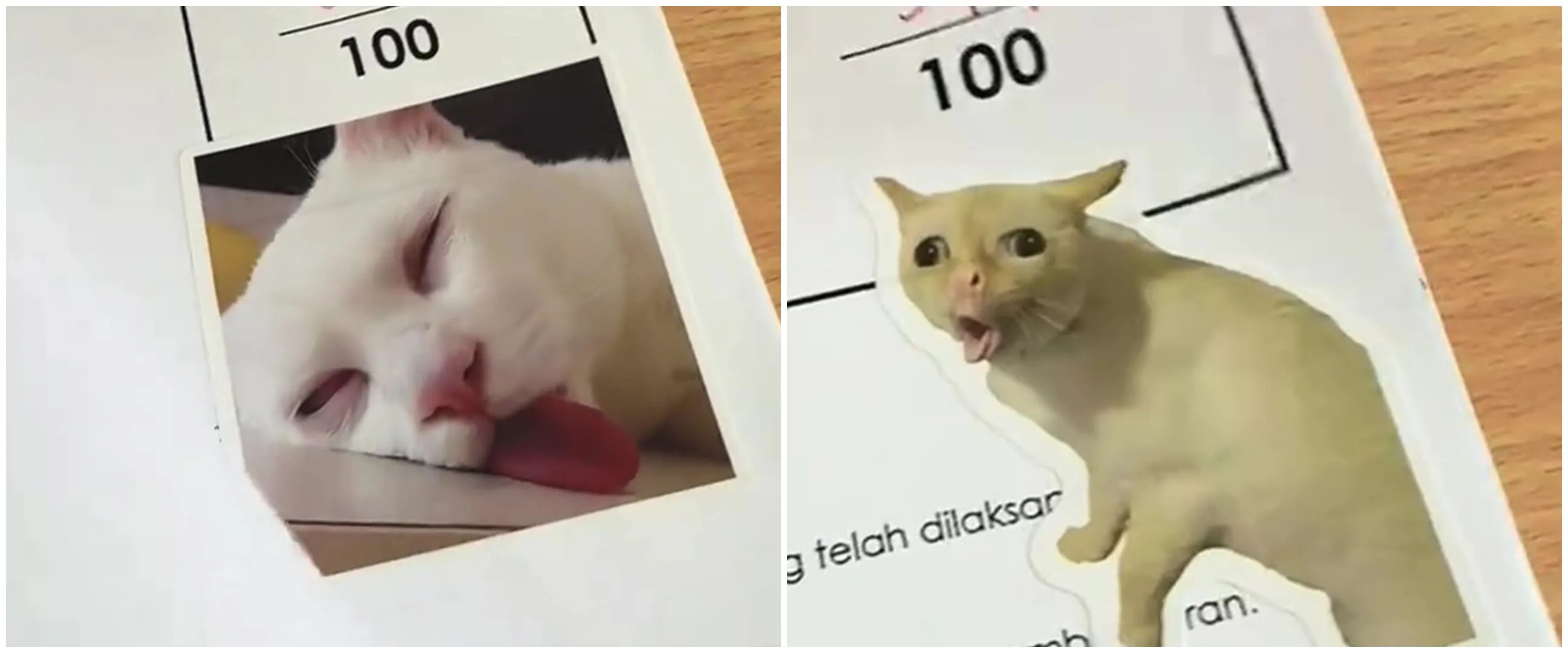 12 Potret kocak guru kasih penilaian ujian ke siswa pakai ekspresi kucing ini bikin heran