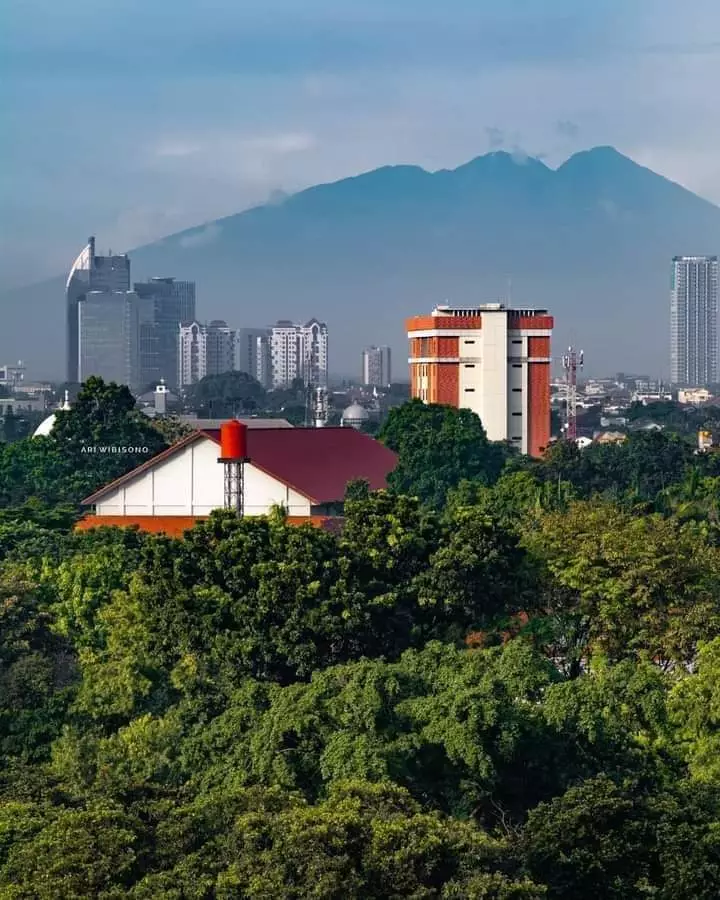 Fenomena langit biru di Jakarta © 2024 X
