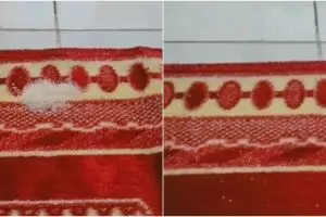 Tanpa gunakan vacuum cleaner, begini cara mudah bersihkan tumpahan gula di karpet