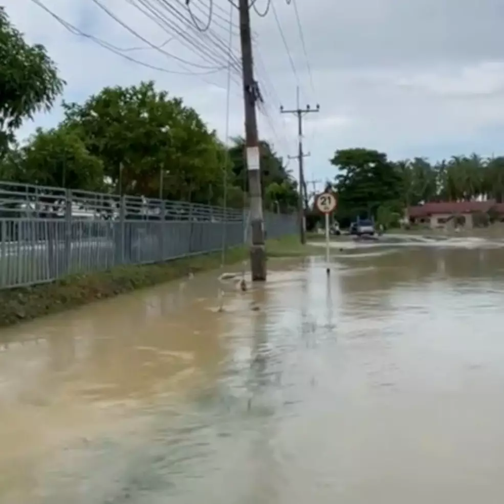 Momen ular piton berenang di jalanan tergenang banjir,  penampakannya bikin bergidik