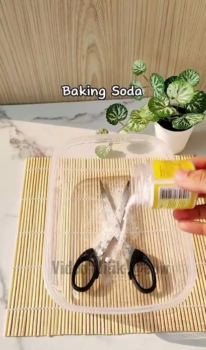 trik cepat basmi karat pada gunting cuma 5 menit © Instagram