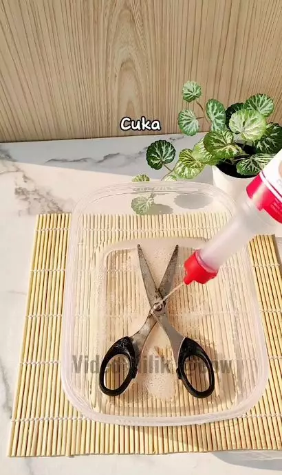 trik cepat basmi karat pada gunting cuma 5 menit © Instagram