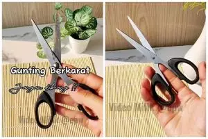 Cuma butuh 5 menit, trik hilangkan karat pada gunting tanpa diampelas ini andalkan 2 bahan dapur