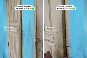 Dinobatkan jadi kamar mandi 'terestetik', bentuk jamban tak berlubang ini bikin kecele pemakainya