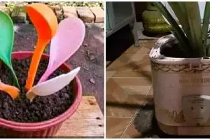 [KUIS] Pilihanmu dari 3 pot lucu ini bisa prediksi sisi dirimu yang bikin cowok klepek-klepek