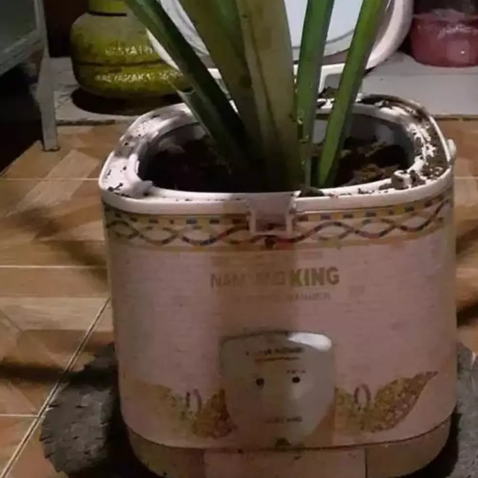 [KUIS] Pilihanmu dari 3 pot lucu ini bisa prediksi sisi dirimu yang bikin cowok klepek-klepek