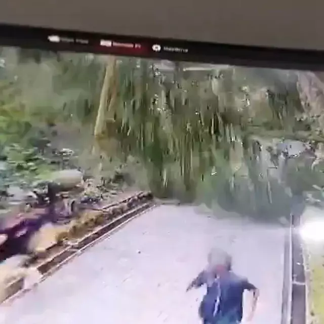 Detik-detik pohon tumbang di Monkey Forest Ubud Bali, tewaskan dua orang turis 