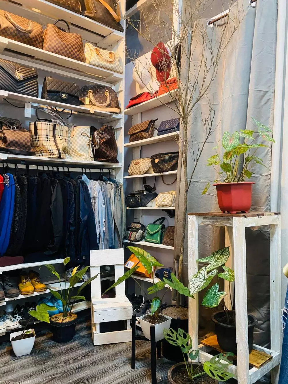 rumah triplek isi tak terduga © Facebook rumah triplek isi tak terduga © Facebook