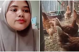 Berawal dari jenuh mengerjakan skripsi, momen cewek putuskan beli anak ayam ini endingnya bikin untung