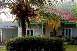 Bebas dari julid-an tetangga, 7 potret rumah sederhana tengah sawah ini halamannya di aliri sungai