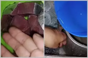 Tak pakai sabun atau jeruk nipis, ini trik hilangkan bau amis ikan di tangan dengan 1 bahan sederhana