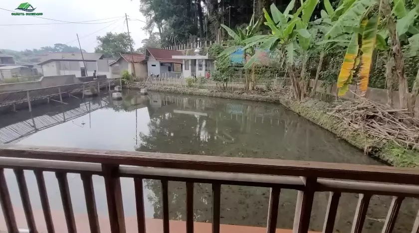 rumah panggung antisombong bak vila © YouTube rumah panggung antisombong bak vila © YouTube
