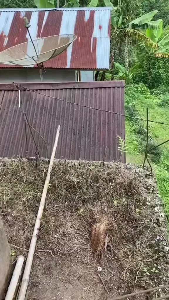 kamar mandi sempit © TikTok