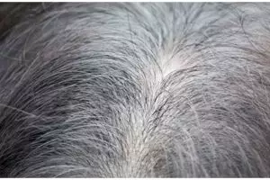 Hasilnya hitam pekat seperti semir di salon, ini cara cegah munculnya uban hanya pakai 2 bahan alami