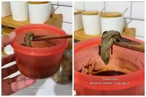 Cara emak-emak usir cicak ini ampuh cuma pakai 2 bahan dapur, tak usah bikin perangkap