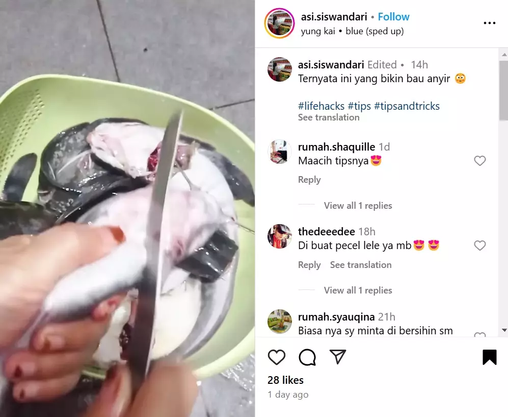 cara ampuh hilangkan bau amis pada ikan lele sebelum diolah © Instagram