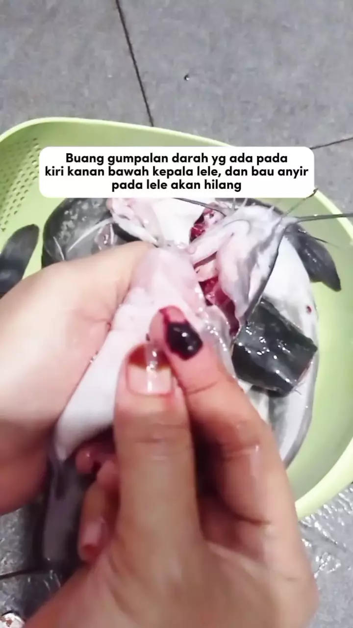cara ampuh hilangkan bau amis pada ikan lele sebelum diolah © Instagram