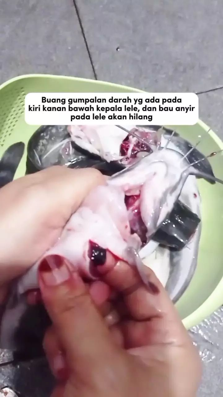 cara ampuh hilangkan bau amis pada ikan lele sebelum diolah © Instagram