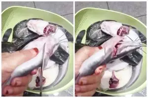 Bukan direndam cuka atau jeruk nipis, ini cara ampuh hilangkan bau amis pada ikan lele sebelum diolah