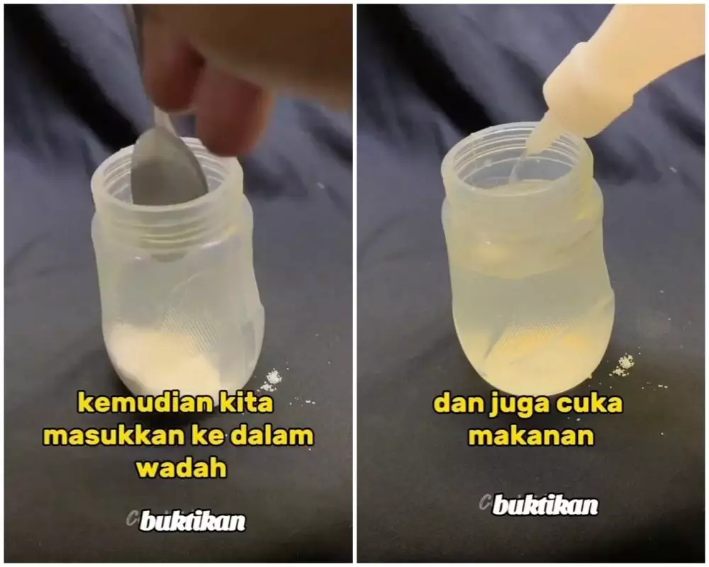 cara usir tikus di rumah dengan alami © Instagram cara usir tikus di rumah dengan alami © Instagram