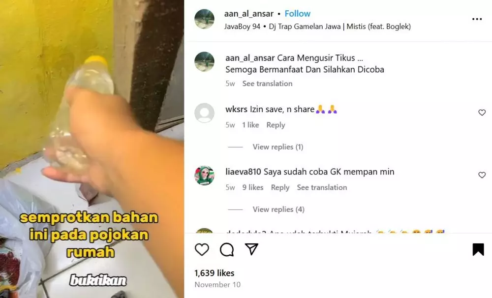 cara usir tikus di rumah dengan alami © Instagram cara usir tikus di rumah dengan alami © Instagram