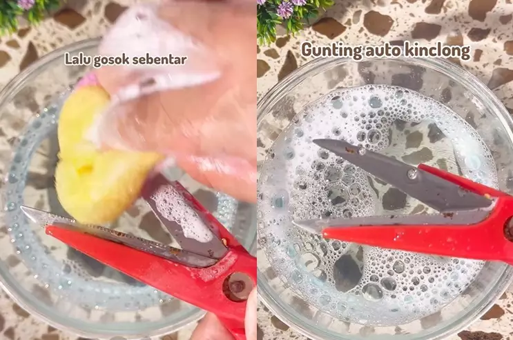 atasi gunting tumpul berkarat jadi tajam tambah 2 bahan dapur © berbagai sumber