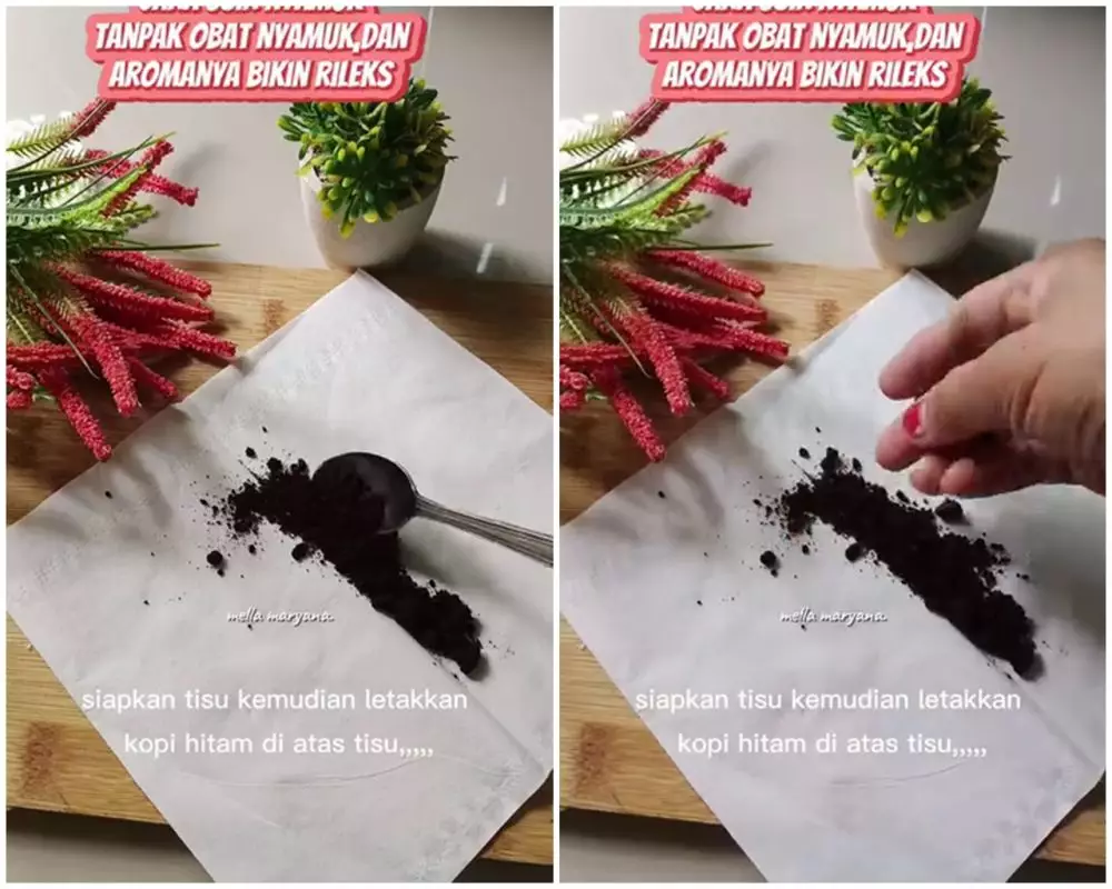Cara alami mengusir nyamuk tanpa bahan kimia © Instagram