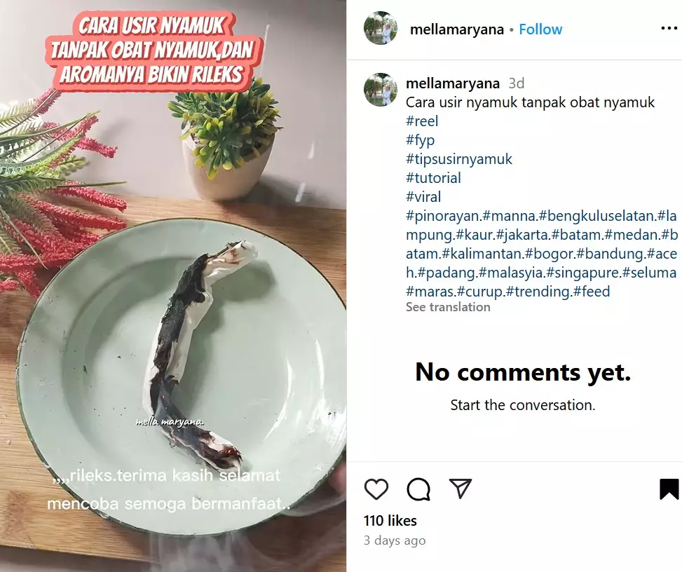 Cara alami mengusir nyamuk tanpa bahan kimia © Instagram