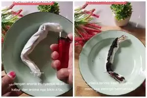 Cara alami mengusir nyamuk tanpa bahan kimia ini bikin rumah wangi berhari-hari pakai 2 bahan dapur