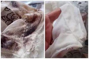 Pakai tambahan 1 bahan dapur, begini trik ampuh menghilangkan bintik hitam jamur di mukena putih