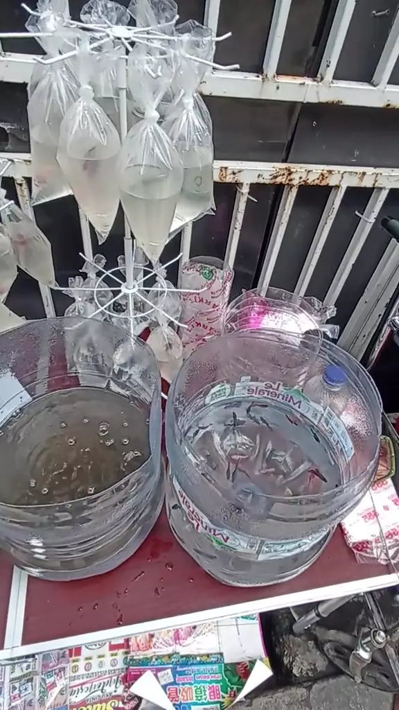 Pak Tarno jualan ikan © 2024 TikTok