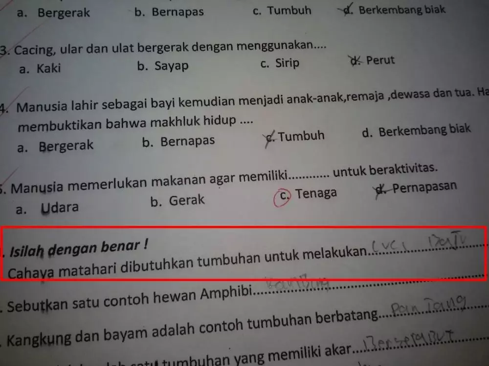 jawaban tugas kocak © berbagai sumber