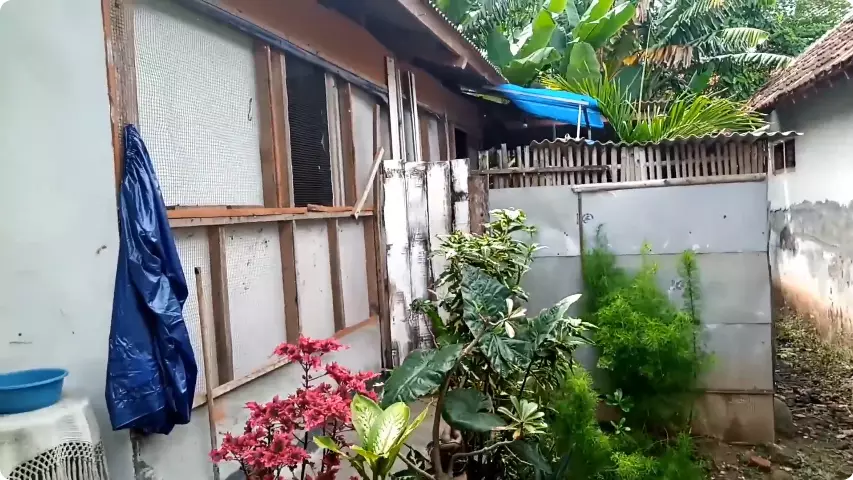 rumah wallpapernya dilukis sendiri © 2024 YouTube