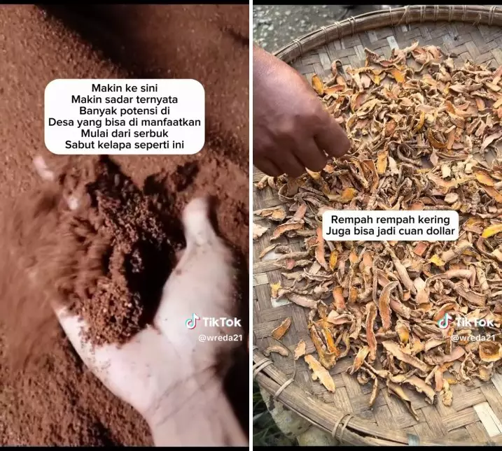 penjual gorengan jadi pebisnis ekspor © TikTok penjual gorengan jadi pebisnis ekspor © TikTok