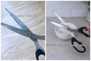 Tanpa digosok ke kardus, begini cara menajamkan gunting tumpul dengan cepat menggunakan 1 sampah dapur