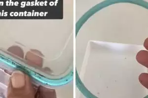 Trik menghilangkan noda jamur di karet tutup toples ini cuma pakai 2 bahan dapur