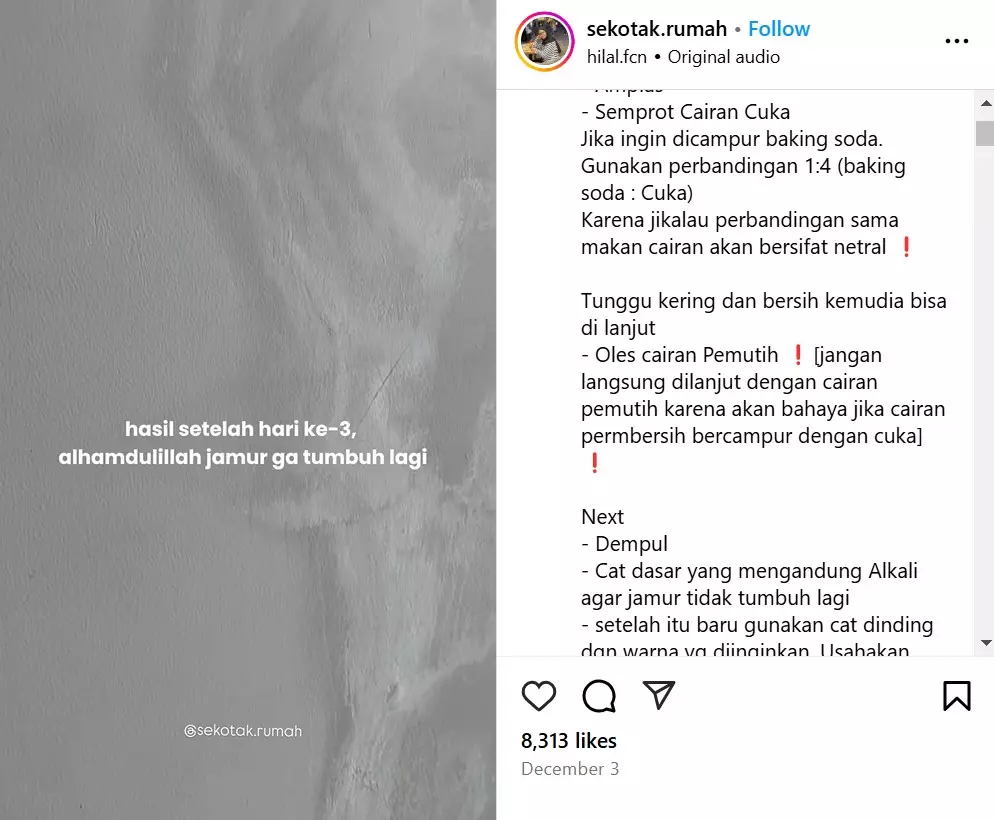 trik basmi jamur di tembok © Instagram trik basmi jamur di tembok © Instagram