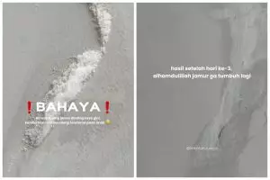 Jangan cuma dibersihkan, ini trik basmi jamur di tembok agar tak muncul lagi pakai 2 bahan dapur