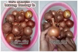 Jangan asal, ini trik memilih bawang bombay segar yang rasanya manis dan beraroma sedap saat dimasak